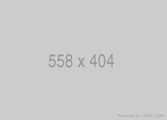 fusce bibendum ipsum
